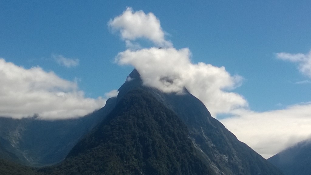The Best Place to be in Milford Sound isn't on a Boat 2