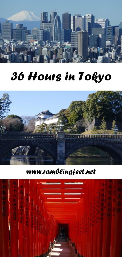 No Leave Needed: 36 Hours in Tokyo 1