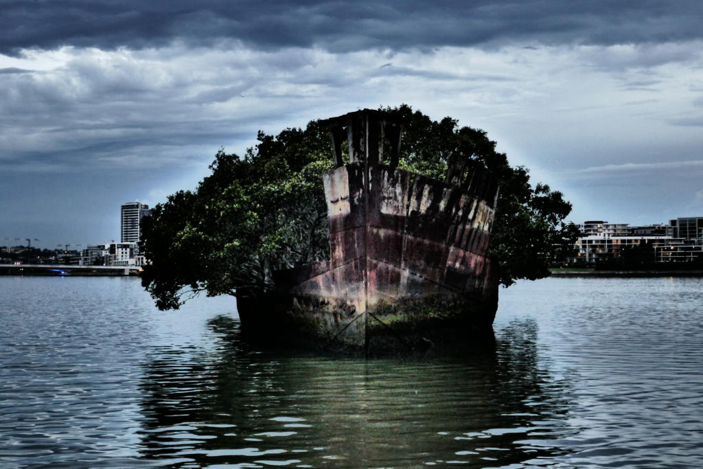 Alone with the SS Ayrfield Shipwreck, the Floating Forest of Sydney 1
