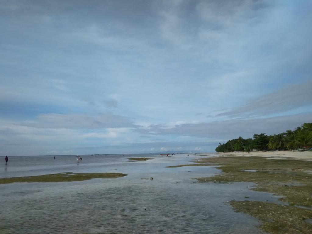 Island hopping from Bohol