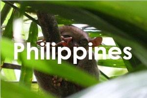 Philippines image