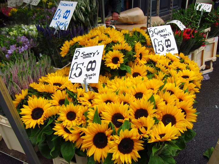 Sunflowers at the Columbia Road flower market, London