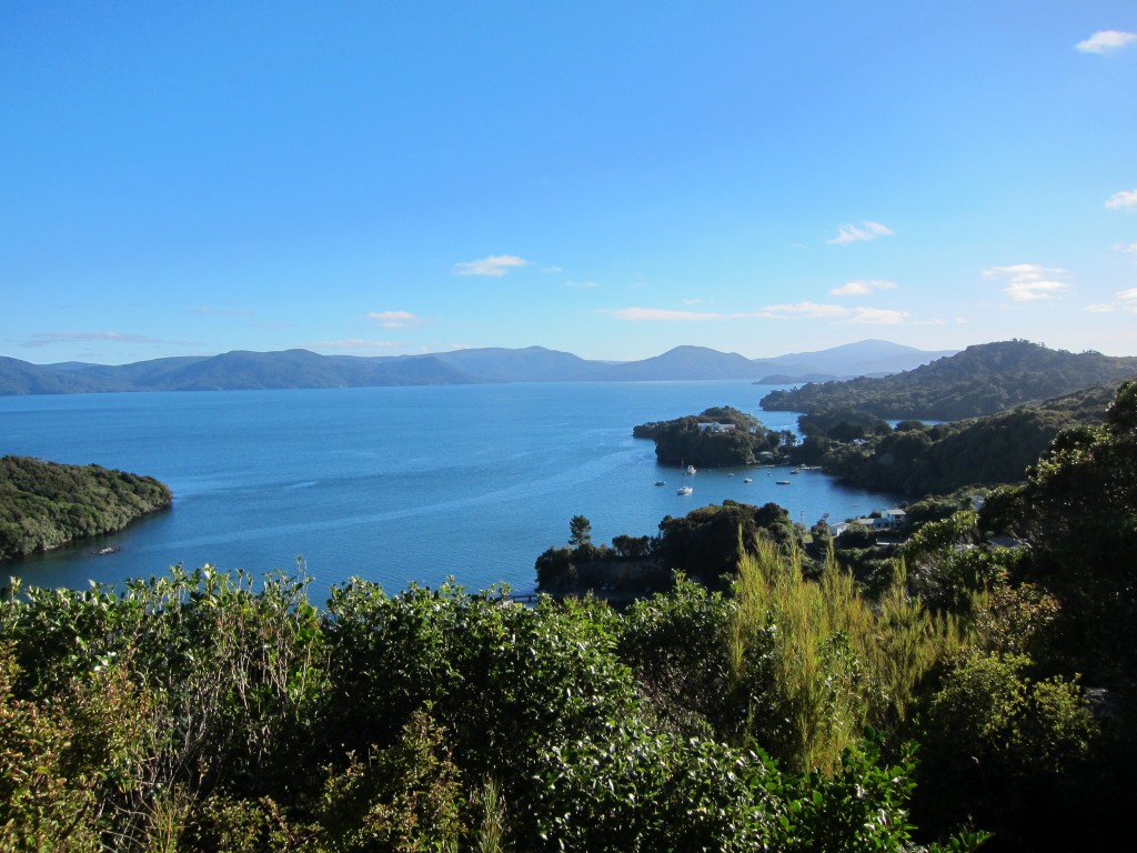 The 6 Best Things to do on Stewart Island 1