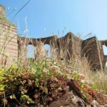 6 Hours in Trier: The Ancient Roman City’s Top Draws