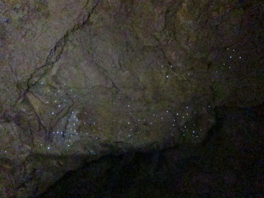 Abbey Caves glowworms lit up