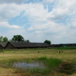 The Iron-Age Village of Biskupin: What You Can Expect to See