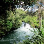 Taking the Plunge at Okere Falls: 2-Second Cheap Thrills