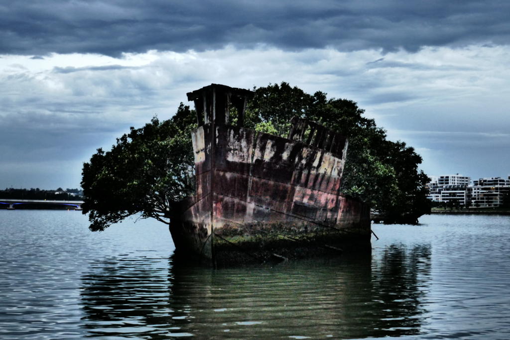 Alone with the SS Ayrfield Shipwreck, the Floating Forest of Sydney