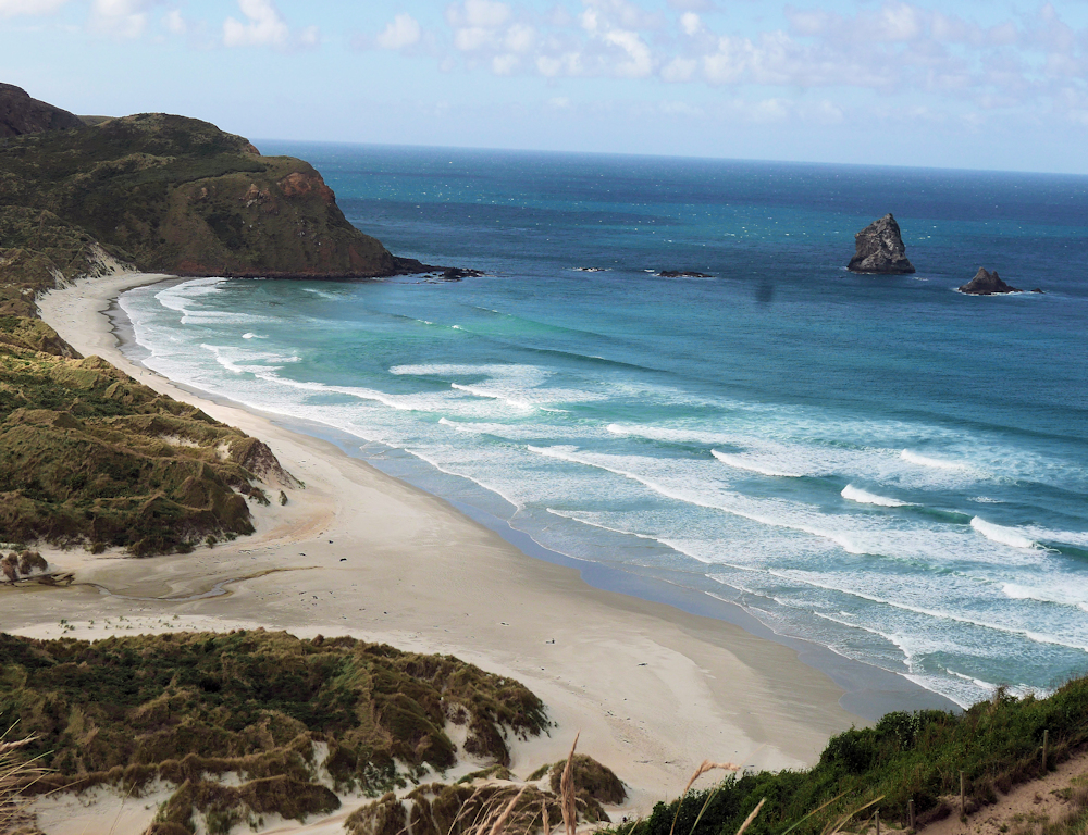 Otago peninsula